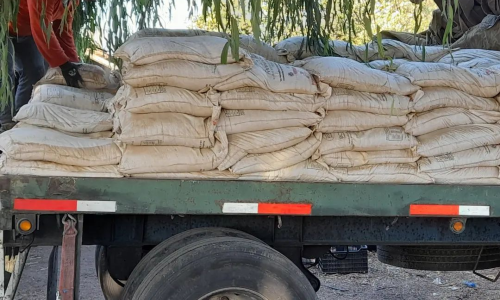 imagen_2022-06-22_203153798