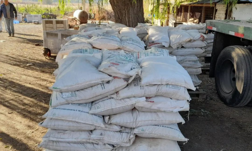 imagen_2022-06-22_203832791