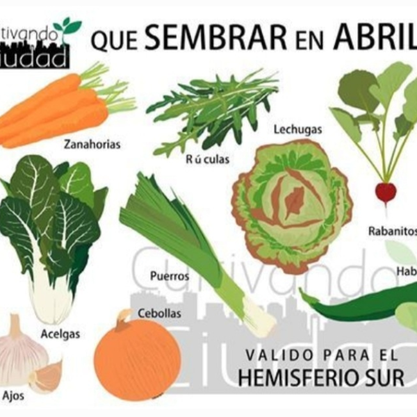 imagen_2023-03-29_193734320 imagen_2023-03-29_193734320